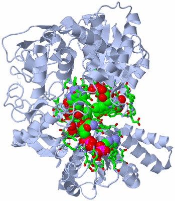 Image Biol. Unit 1 - sites