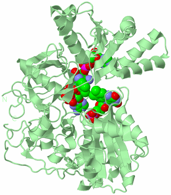 Image Biological Unit 2