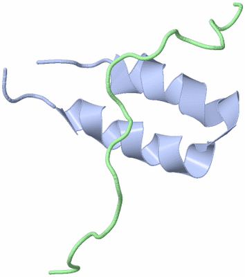 Image NMR Structure - model 1