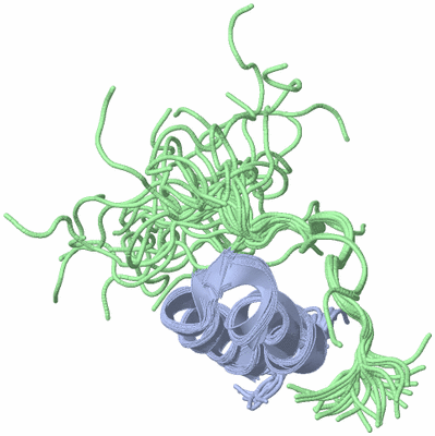 Image NMR Structure - all models