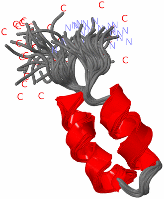 Image NMR Structure - all models