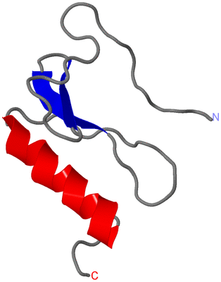 Image NMR Structure - model 1