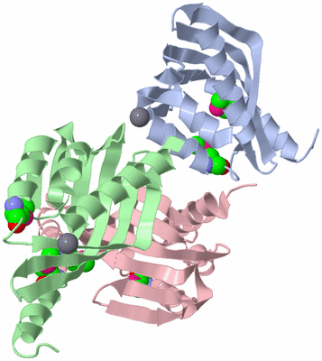 Image Asymmetric Unit