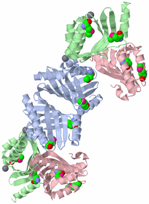Image Biological Unit 1