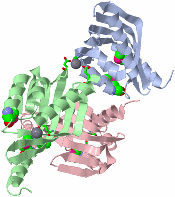 Image Asym. Unit - sites