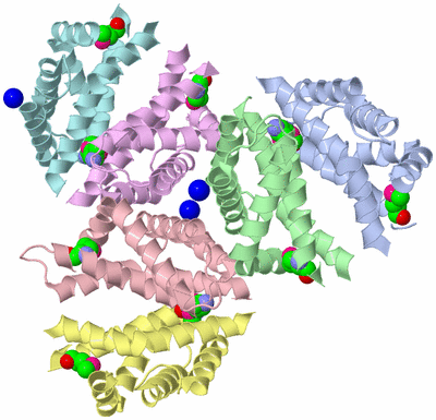 Image Asymmetric Unit