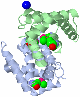 Image Biological Unit 1