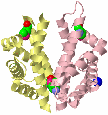 Image Biological Unit 2