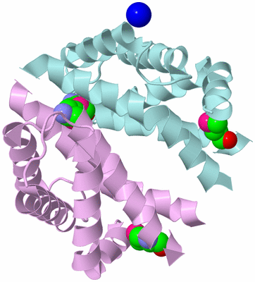 Image Biological Unit 3