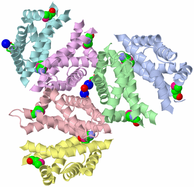 Image Asym. Unit - sites