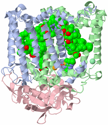 Image Asym./Biol. Unit