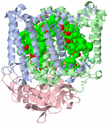 Image Asym./Biol. Unit - sites