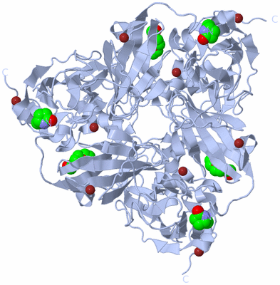 Image Biological Unit 1