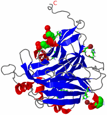 Image Asym. Unit - sites