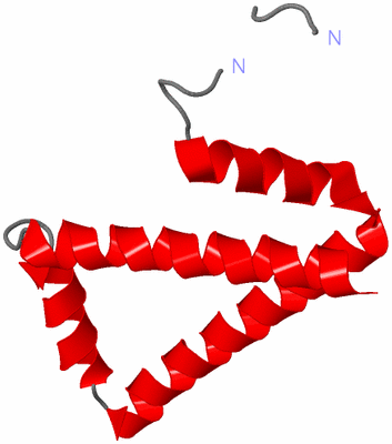 Image Asymmetric Unit