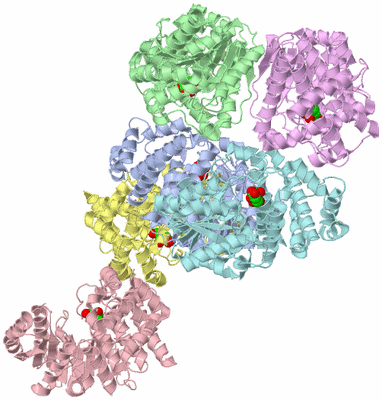 Image Asymmetric Unit