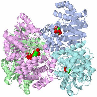 Image Biological Unit 1