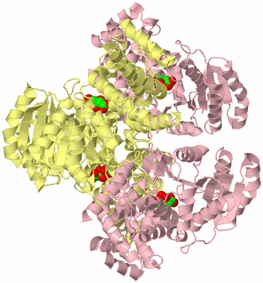 Image Biological Unit 2