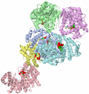 Image Asym. Unit - sites