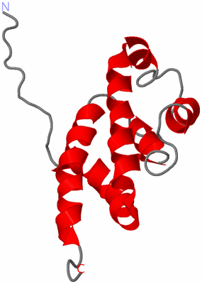 Image NMR Structure - model 1