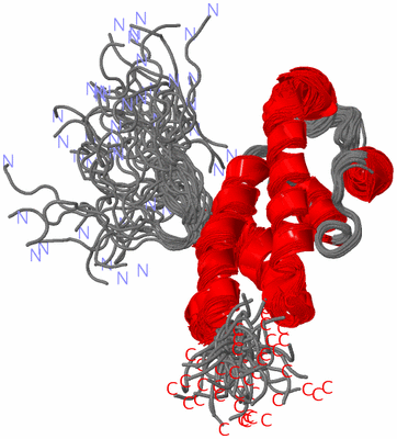 Image NMR Structure - all models