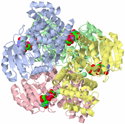 Image Biological Unit 1