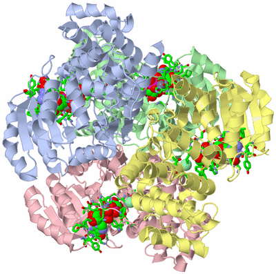 Image Biol. Unit 1 - sites