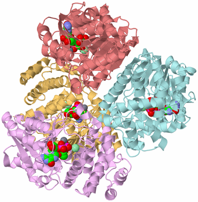 Image Biological Unit 2