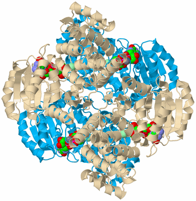 Image Biological Unit 3