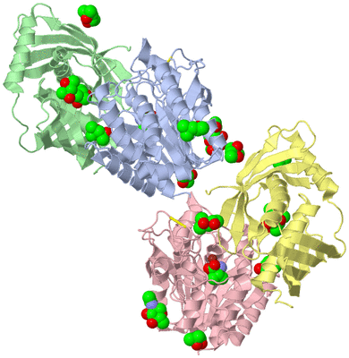 Image Asym./Biol. Unit