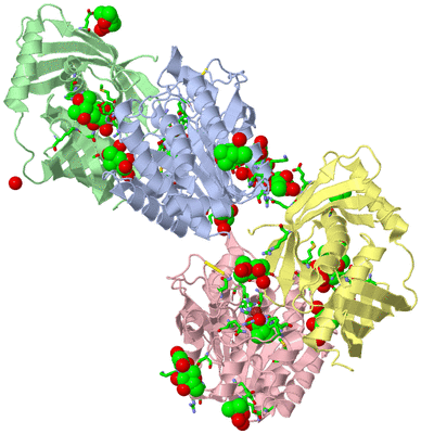 Image Asym./Biol. Unit - sites