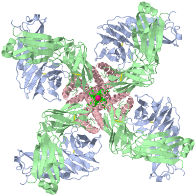 Image Biol. Unit 1 - sites