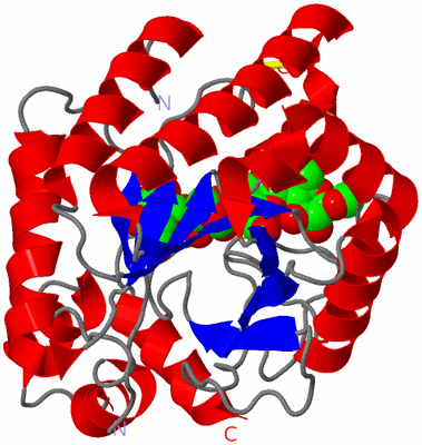 Image Asym./Biol. Unit