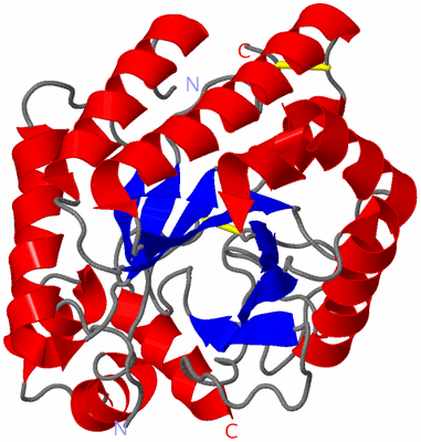 Image Asym./Biol. Unit