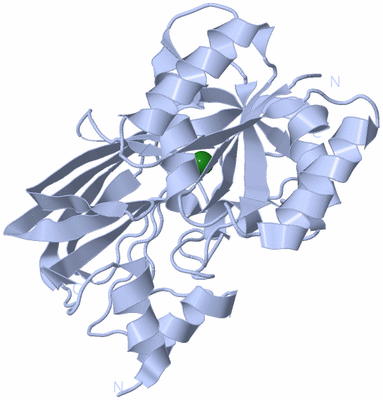 Image Biological Unit 1