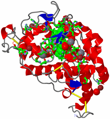 Image Asym./Biol. Unit - sites