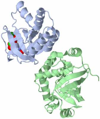 Image Asym./Biol. Unit