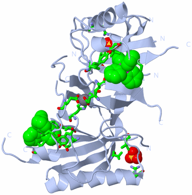 Image Biol. Unit 1 - sites