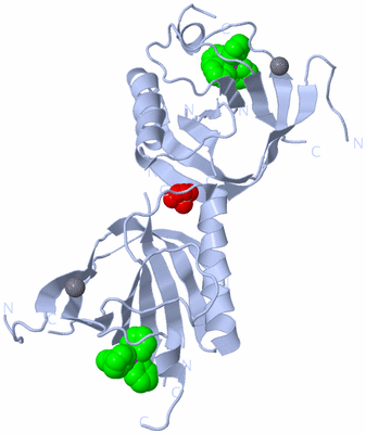 Image Biological Unit 2