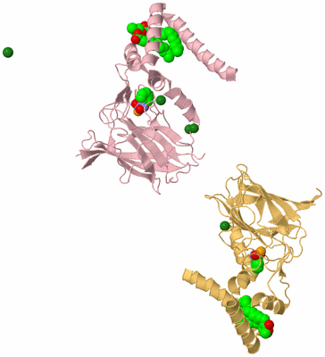 Image Biological Unit 3