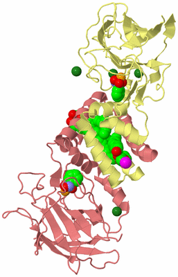 Image Biological Unit 4