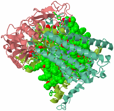 Image Asym./Biol. Unit - sites