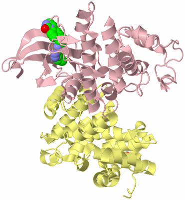 Image Biological Unit 2