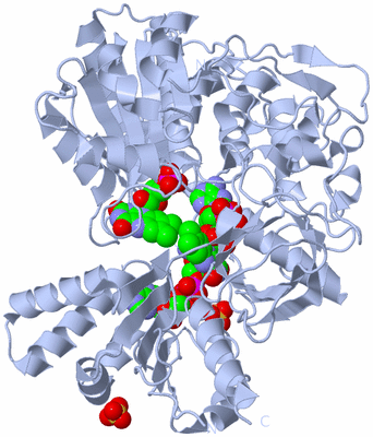 Image Biological Unit 1