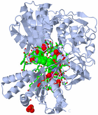 Image Biol. Unit 1 - sites