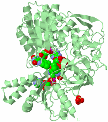 Image Biological Unit 2