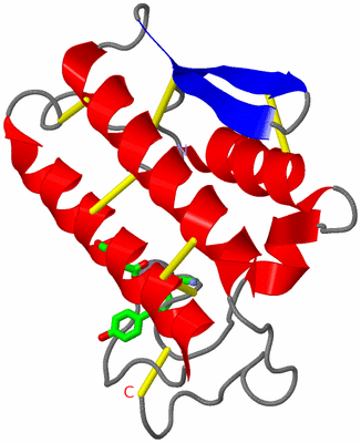 Image Asym. Unit - sites