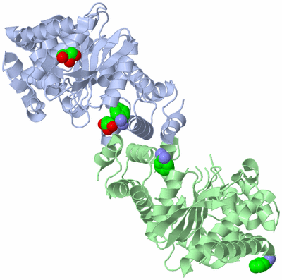 Image Asym./Biol. Unit