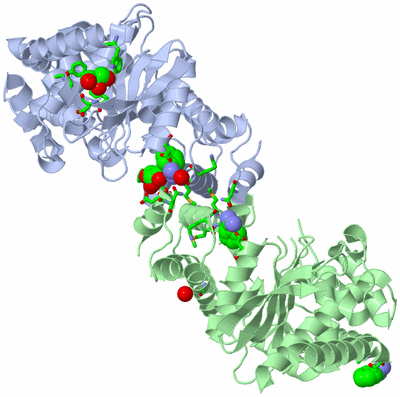 Image Asym./Biol. Unit - sites