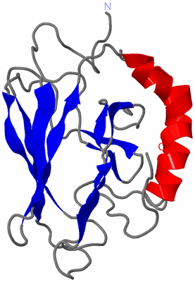 Image NMR Structure - model 1